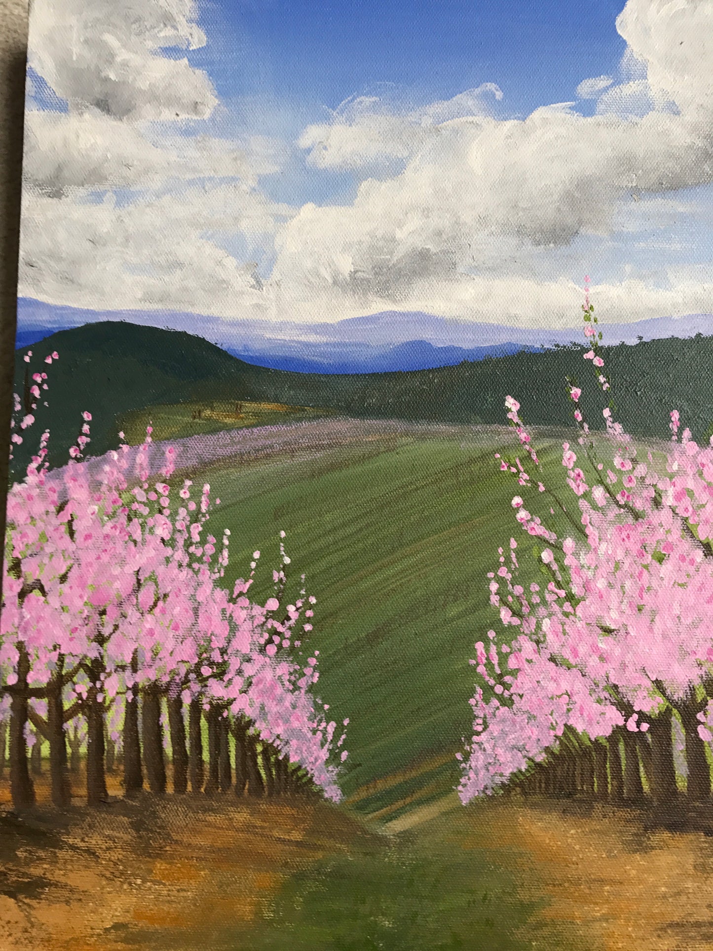 The beauty of a local fruit orchard