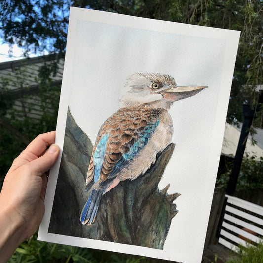 Blue-Winged Kookaburra – A3 Art Print