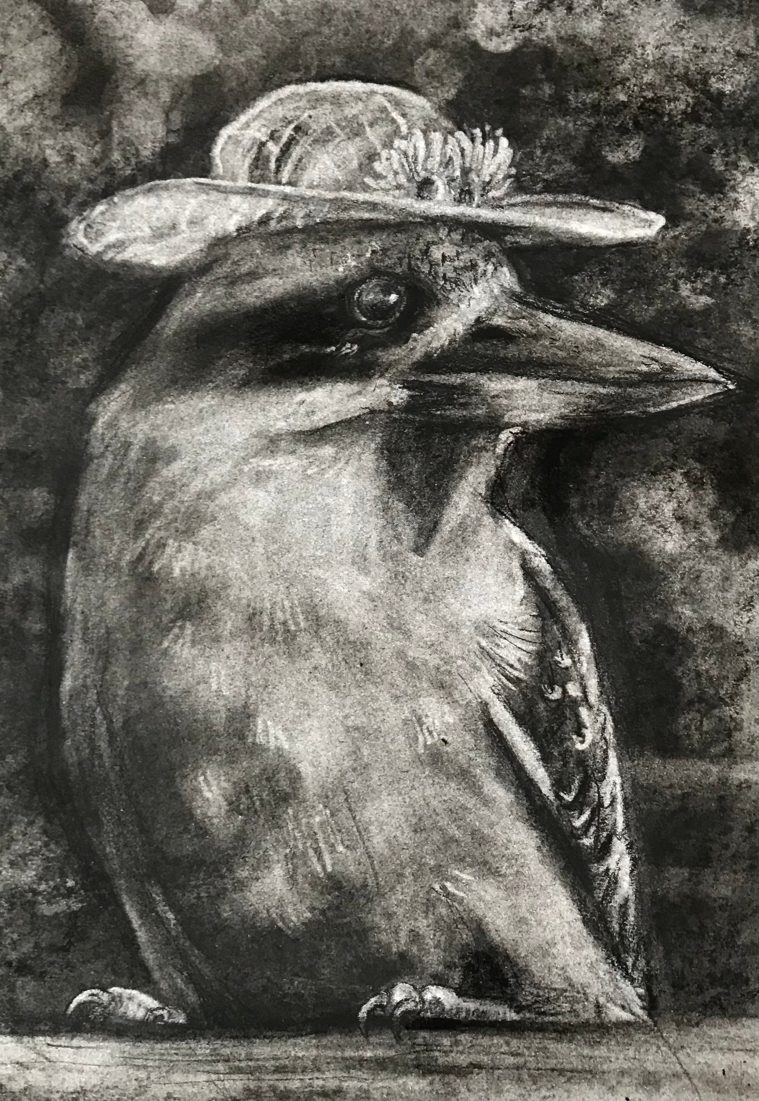 Birds of Australia