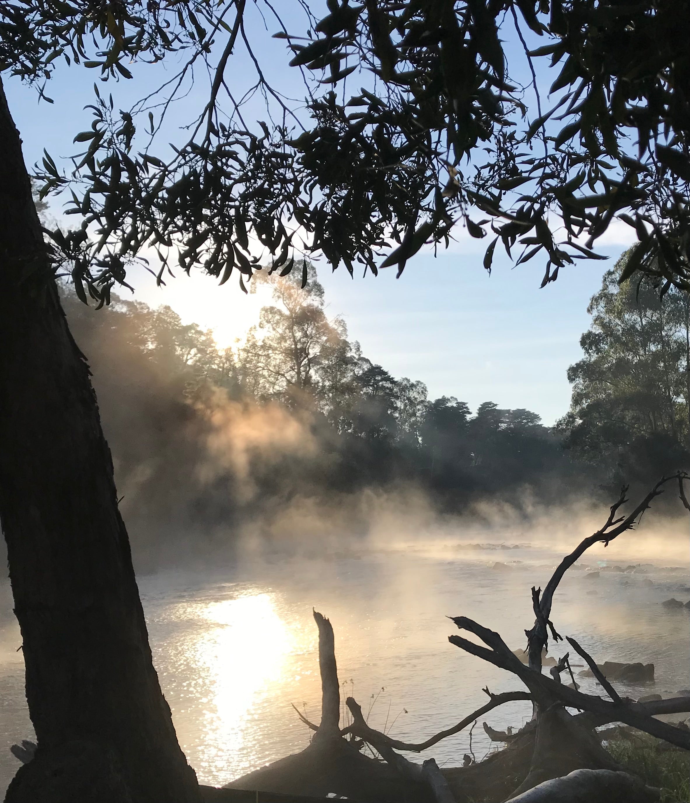 Birrarung (Yarra) river in Warrandyte