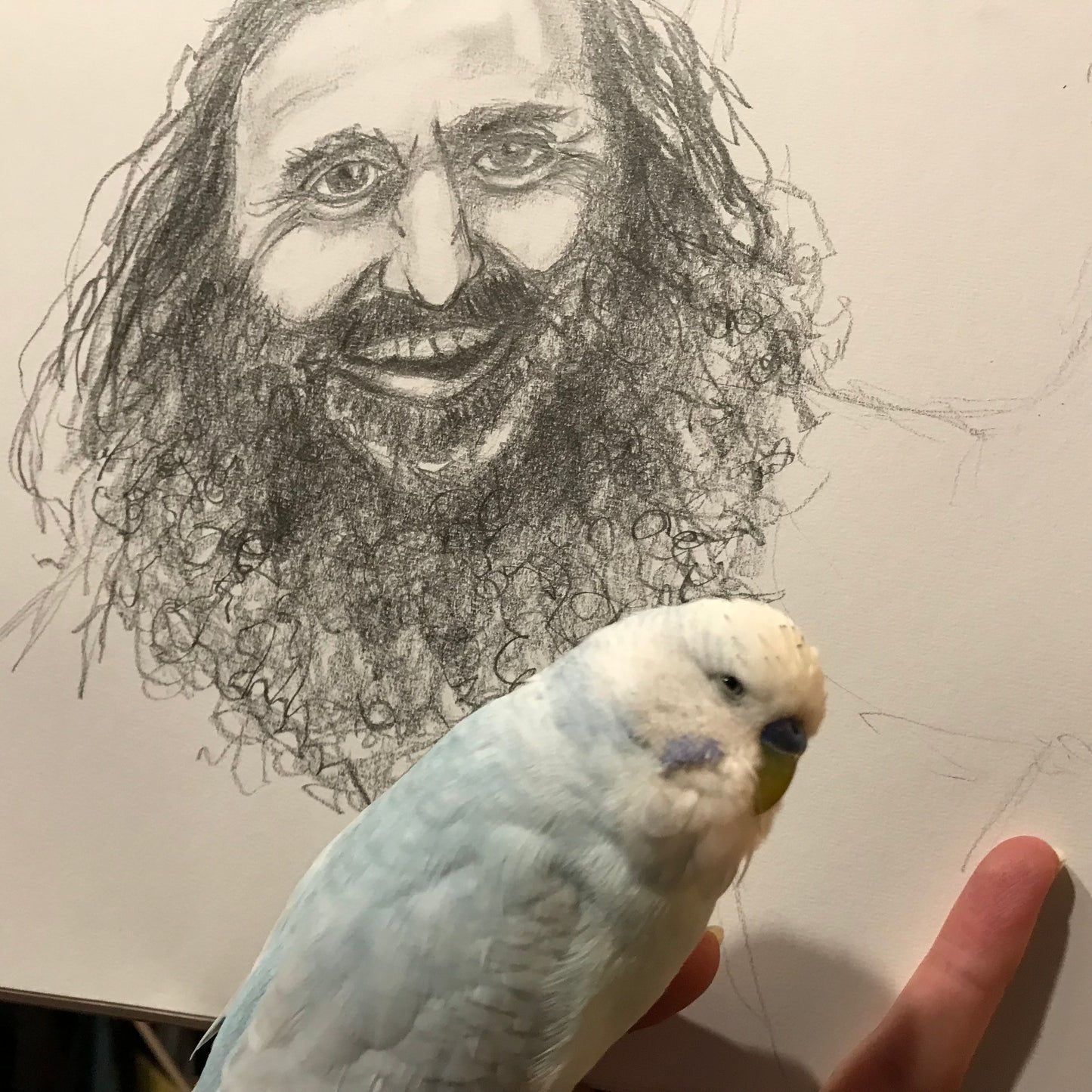 Costa. The energy, the passion for family, culture, gardens and our world