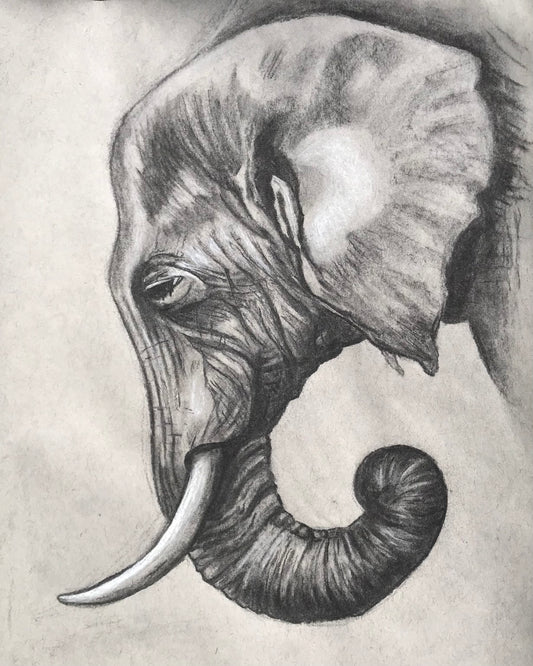 Elephant on charcoal