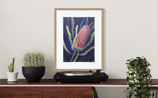 Un-Banks-ia at night (Banksia flowers are named after colonial explorer Joseph Banks)